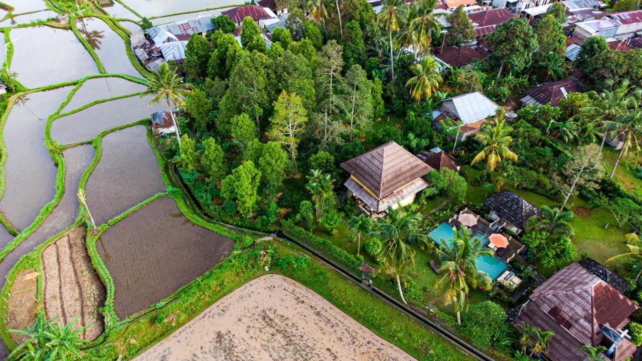 Villa Manuk Singaraja Екстериор снимка
