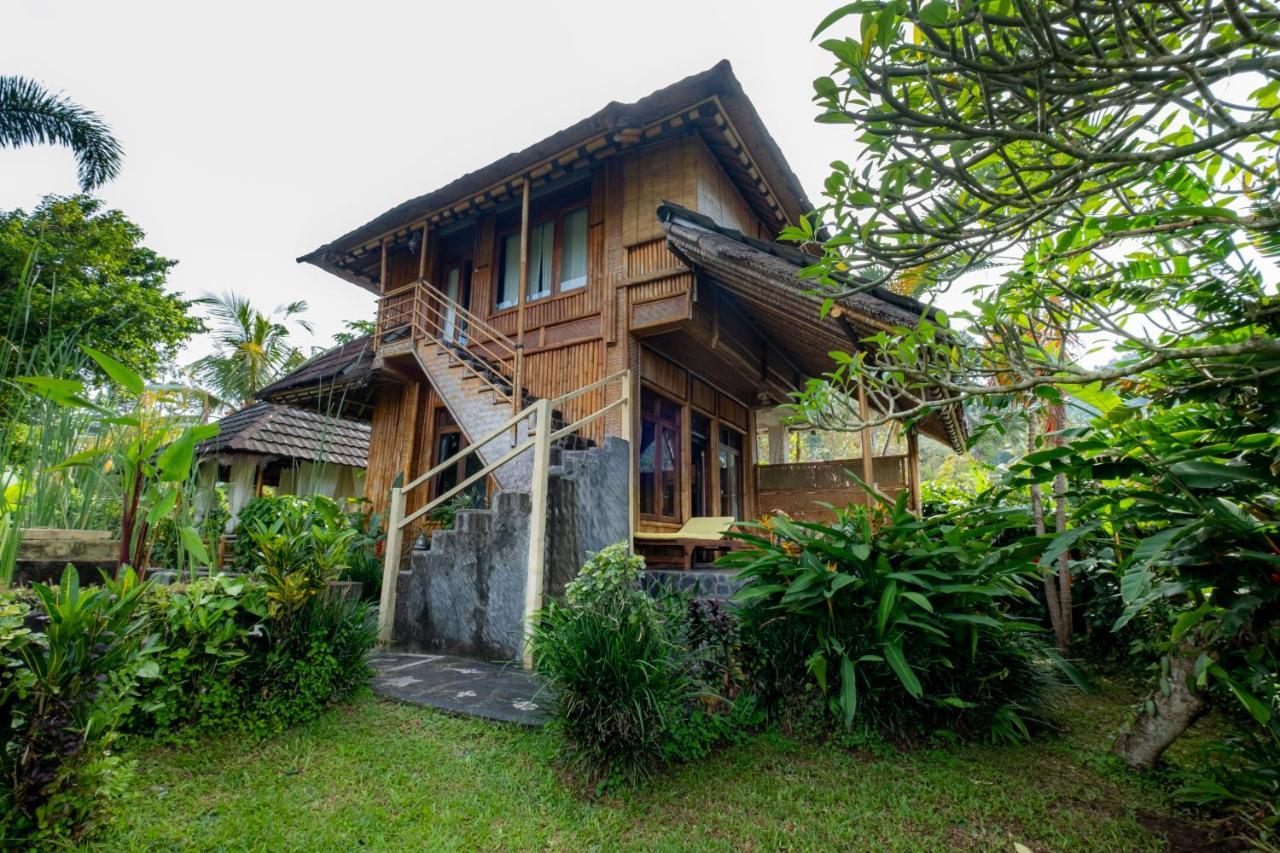 Villa Manuk Singaraja Екстериор снимка