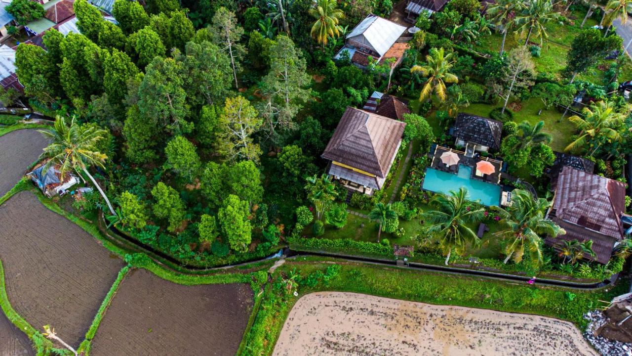 Villa Manuk Singaraja Екстериор снимка
